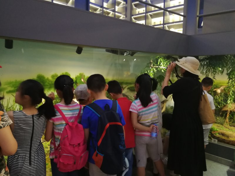 赖舜男.jpg 赖舜男.jpg